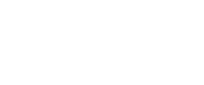 Logo Omnivision blanc